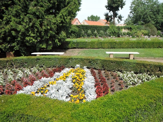 DSCN1852