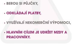 Prohlášení - 3